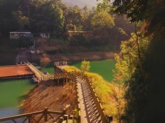 -广州市流溪河国家森林公园