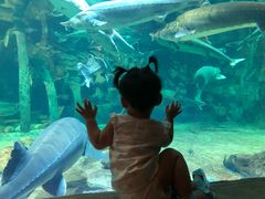 -华夏文旅海洋公园