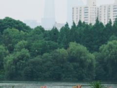 -黄兴公园