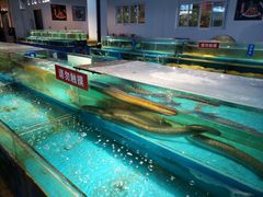 水产区-学府海鲜批发市场