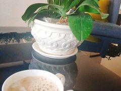 -沈阳和平艾美酒店新食谱西餐厅