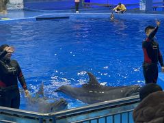 -多彩贵州城极地海洋世界