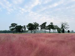 -汉长安城未央宫国家考古遗址公园