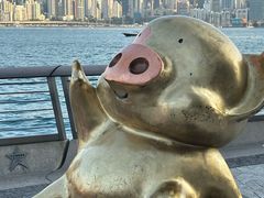 -星光大道