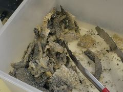 酥炸鱼皮-恩宁刘福记(东华东路店)