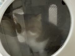 -瑞鹏宠物医院·眼科·皮肤·中兽医(大悦城分院)