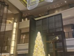 -舟山希尔顿酒店