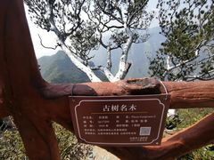 -神农山景区