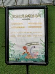 -恐龙探索乐园(磁器口店)