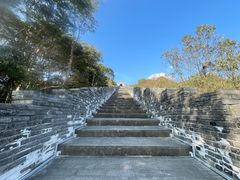 -黄贤森林公园