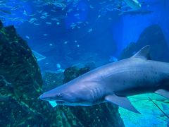 -海合安成都极地海洋公园