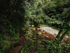 -青城山