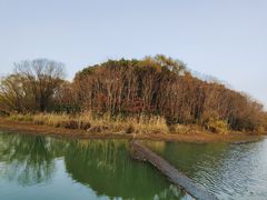 -昆山城市生态森林公园