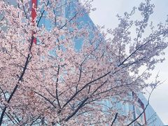 -武汉荟聚