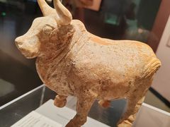 -隋唐大运河文化博物馆