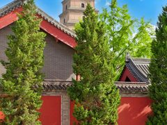 -大慈恩寺(大雁塔)