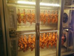 -鸽子侯·家宴·平价海鲜(绿地店)