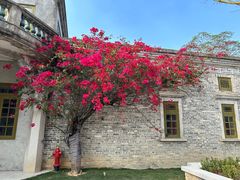 -赤坎·广东华侨国际旅游度假区