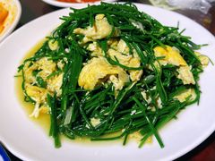 -范记靖远羊羔肉(博物馆店)