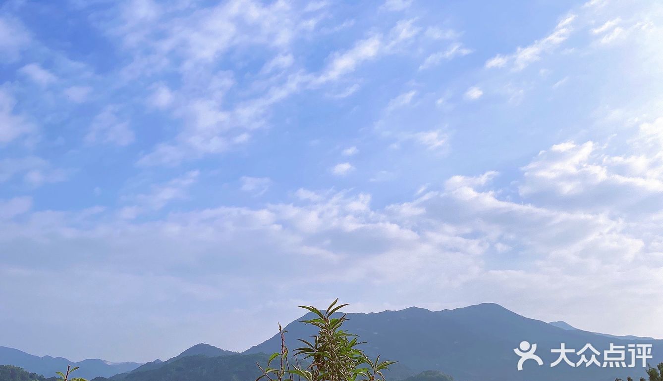 很适合小情侣和小家庭去游玩,多走走
