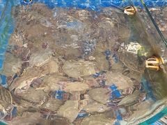 -大K海鲜大排档(羊山岛店)