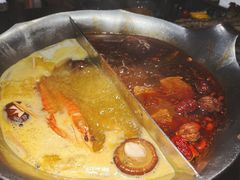 台式麻辣花胶鸡鸳鸯锅-湊湊火锅·茶憩(世博大道店)
