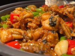 -淘蛙(广州星寰国际商业中心店)