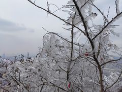 -紫金山山顶公园