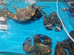 -济南海鲜大市场