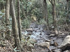 -安吉龙王山风景区