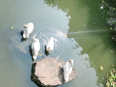 -无锡动物园·太湖欢乐园