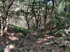 -严子陵钓台(富春江小三峡)