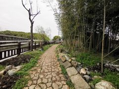 -游龙石文化科普馆