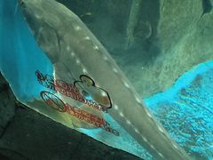 -石家庄海洋公园