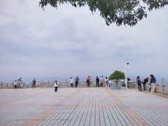 -风云岭森林公园