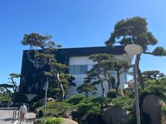 -罗红摄影艺术馆