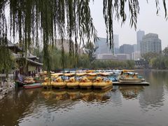 -团结湖公园