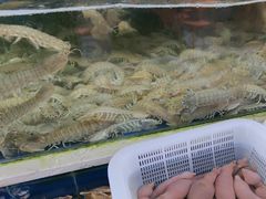 -常家活海鲜小吃(仅一家无分店)