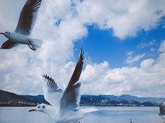-海埂大坝