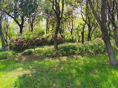 -尚贤河湿地