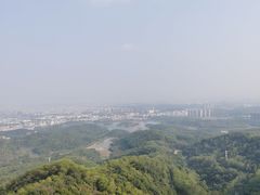 -大屏嶂森林公园