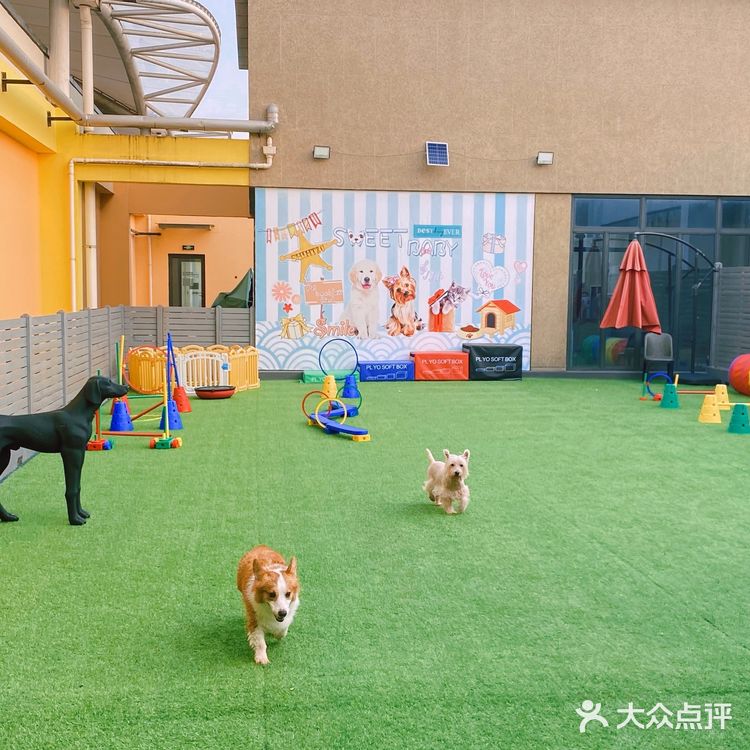 特别是新造了全透明的泳池
