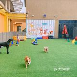 特别是新造了全透明的泳池