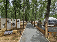 -森林小栈TreeStation露营基地