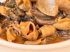 -绿色菜园(贤山店)