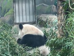 -杭州动物园