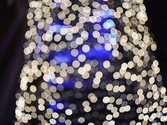 -bluefrog蓝蛙(水游城店)