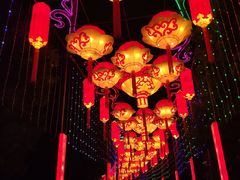 -武汉园博园(武汉自然博物馆)