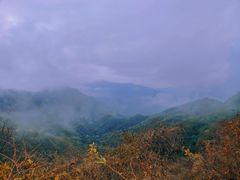 -大岭沟猕猴桃谷风景区