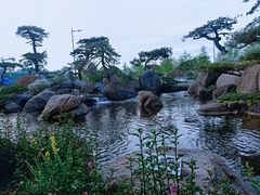 -罗红摄影艺术馆